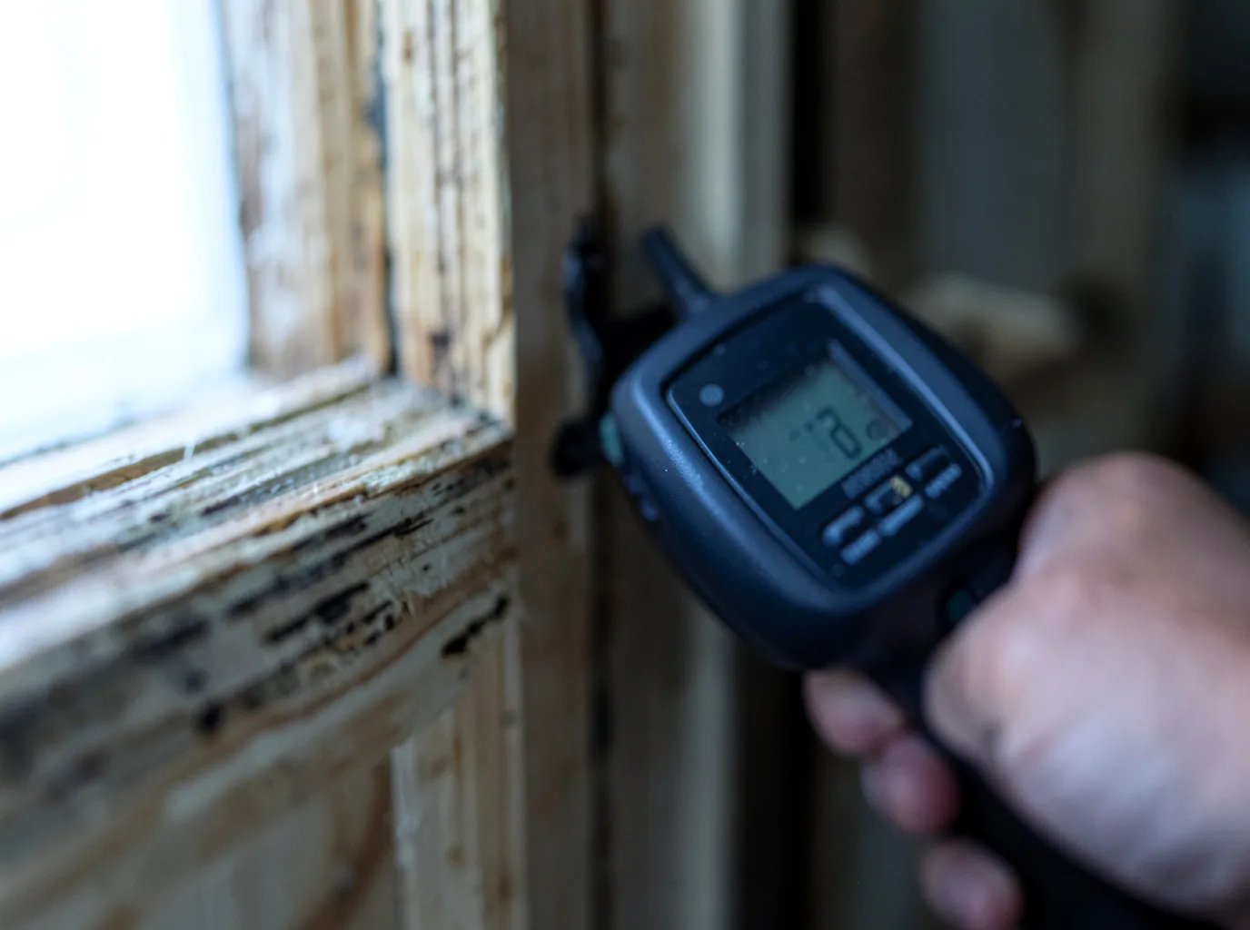 Commercial Water Damage Restoration in Castle Rock, WA